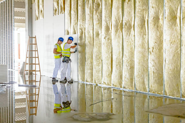 Best Commercial Insulation in Dunwoody, GA